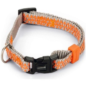 Resim Beeztees Köpek Boyun Tasması, Açık Gri Turuncu, 20-30cm 