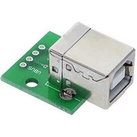 Resim B Tipi Dişi USB Dip Çevirici Modülü 
