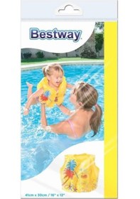Resim Bestway Can Yeleği Desenli 43x30 Cm - 32069 Çok Renkli 