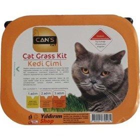 Resim Can's Cat Kedi Çimi 