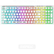 Resim Everest KB-98 Sessiz Rainbow Q Türkçe Klavye Membrane Oyuncu Klavyesi Gaming Klavye 