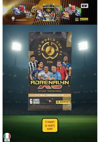 Resim Panini Club World Cup 25 Futbolcu Kartları - 1 Li Paket 6 Kart 