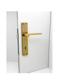 Resim Tutku Titanyum Gold Lüx Aynalı Oda Kapı Kolu 1 Takım 