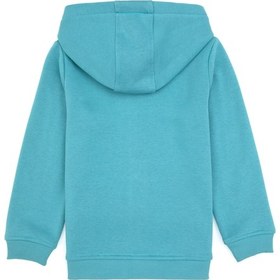 Resim U.S. Polo Assn. Erkek Çocuk Mint Örme Fermuarlı Kapüşonlu Hırka 50313852-VR152 