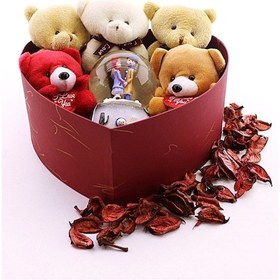 Resim Sevgiliye Hediye Özel Kalp Kutu İçinde Kar Küresi ve Yavru Ayıcıklar Hediye Kutusu A75 