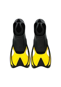 Resim Tnt Kısa Cardio Havuz Paleti 37-38 Sarı 