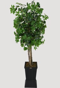 Resim Yapay Çiçek Deposu Ahşap Saksıda Yapay Schefflera (şeflera) Ağacı 180 Cm 