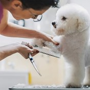 Resim 5 parçadan oluşan set, köpek tımar makası kiti, profesyonel evcil hayvan temizleme ve tımar aracı seti - köpekler ve kediler için güvenli yuvarlak uçlu paslanmaz çelik makaslar 
