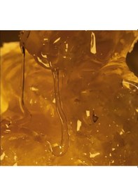 Resim Milk & Honey Gold Nemlendirici El Kremi 