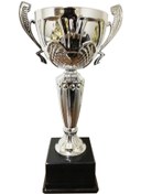 Resim ASOS Büyük Boy Metal Çanaklı Ödül Kupası ( 39 Cm ) 