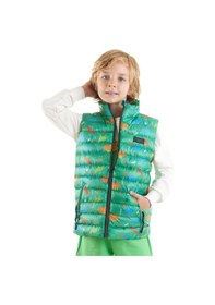 Resim Ahengim Erkek Çocuk Dinozor Baskılı Trend Şişme Yelek Ak216263 Yeşil 
