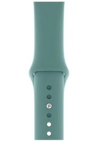 Resim Apple Watch Uyumlu Silikon Kordon Kaktüs Yeşili 