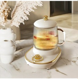 Resim 600ml Çok Fonksiyonlu Mini Sağlık Pot Elektrikli Güveç Fincan Çay Makinesi White Gift Set Eu Plug Beyaz 
