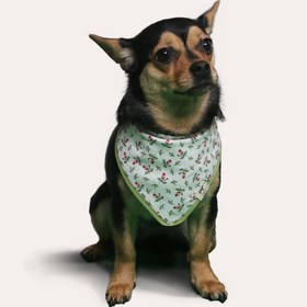 Resim | Bandana | Apple Blossom - M 