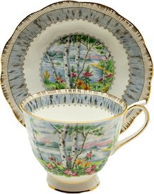 Resim İngiliz Royal Albert Silver Birch çay fincanı 