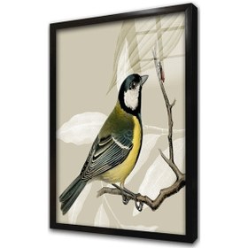 Resim Dalda Kuş Iı Çerçeveli Cam Tablo-172015 