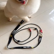 Resim Dayanıklı Siyah Yavru Tasma Altın Retriever Tasarımı ile - Dayanıklı, Entegre Eğitme İpi, Orta Boydan Küçük Köpekler için İdeal, Yürüyüş ve Eğitim Kullanımı, Köpek Eğitme İpi|Altın Retriever Tasarımı|Esnek Yavru Tasma 