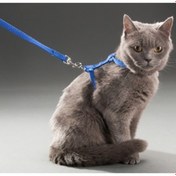 Resim Kedi Boyun ve Göğüs Tasması 