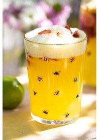 Resim Rakle Lady Bird Meşrubat Bardağı Seti 4'lü 510 CC 