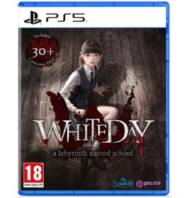 Resim SONNORS White Day Labyrinth Nmd School Playstation 5 