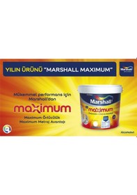 Resim Maximum Silikonlu Ipek Mat Boya - Sedef Işıltısı 15 L 