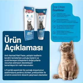 Resim Yetişkin Kedi Malt Paste 100 G - 24 Adet 