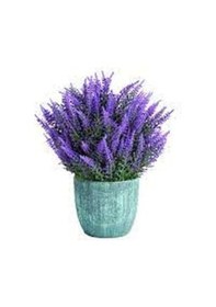 Resim Paket Lavanta Çiçeği Tohumu 700 Tohum + Tohum 
