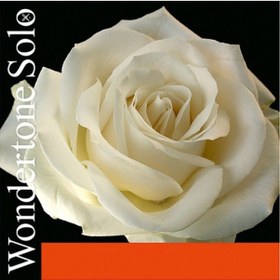 Resim Pirastro Wondertone Solo Violin Strings Takım Tel Keman Teli 