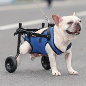 Resim Köpekler için Katlanabilir Evcil Hayvan Tekerlekli Sandalye - Ayarlanabilir Kayışlarla Rahat Dolgulu Arka Koltuk, Rehabilitasyon & Yürüyüş Yardımı için Dayanıklı Metal Çerçeve, Mavi File Yelek Dahil, Tekerlekli Sandalye Aksesuarları 