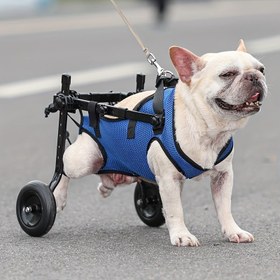 Resim Köpekler için Katlanabilir Evcil Hayvan Tekerlekli Sandalye - Ayarlanabilir Kayışlarla Rahat Dolgulu Arka Koltuk, Rehabilitasyon & Yürüyüş Yardımı için Dayanıklı Metal Çerçeve, Mavi File Yelek Dahil, Tekerlekli Sandalye Aksesuarları 
