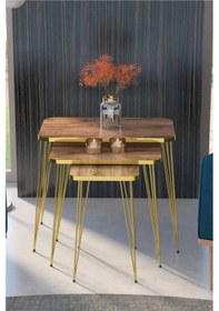 Resim Uslucan Alışveriş Zigon Sehpa Kr Ve Orta Sehpa Kr Set Gold Ceviz Tel 1108 Çok Renkli 
