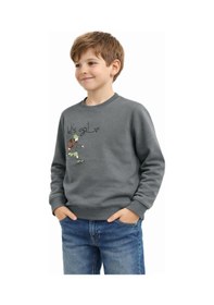 Resim Baglan Erkek Çocuk Önü Arkası Baskılı Sweatshirt Bgl-st05243 Yeşil 