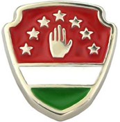 Resim Abhaz Bayrak Arma Rozet 