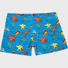 Resim Slipstop Austin Desenli Normal Bel Boxer Mayo Short Erkek Çocuk Mayo Short Sr2631000009 Saks 