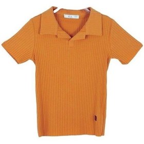 Resim Nk Kids Çocuk Polo Yaka Fitilli T-shirt-14004-tarçın Tarçın 