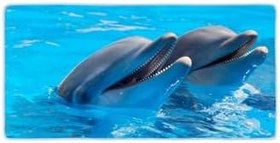 Resim Colorix Carpet Kaymaz Taban Tezgah Önü Mutfak Paspası 75x150 cm No: 075 