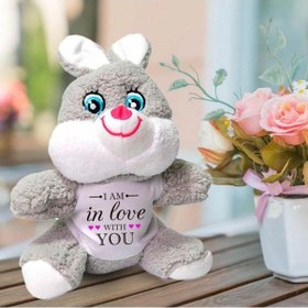 Resim Sana Aşığım Temalı Sevgili Peluş Tavşan Hk2456 