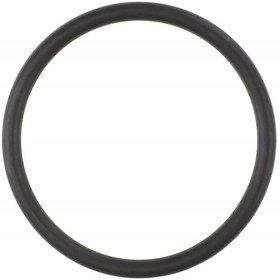 Resim AGCO O-Ring - Massey Ferguson / Fendt / Valtra | ACP0445880 