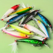 Resim 10 Batan Minnow 