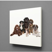 Resim Köpek Topluluğu Kanvas Tablo 