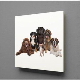 Resim Köpek Topluluğu Kanvas Tablo 