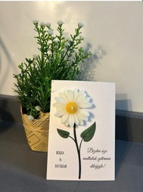 Resim Bernami Vazo Pinterest 20 Adet Süslemeli Papatya , Nikah Şekeri, Doğum, Sünnet, Düğün Nişan Söz, Kına, Doğum Günü . Diğer 