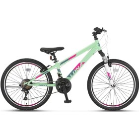 Resim 2469 Luna Kadın Dağ Bisikleti V 24 Jant 21 Vites Mint Mürdüm 