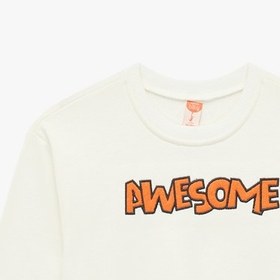 Resim Erkek Bebek Uzun Kollu Bisiklet Yaka Şardonlu Pamuklu Sweatshirt 