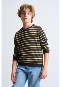 Resim Alexandergardi Alexandergardı Çizgili Bisiklet Yaka Çocuk Sweatshirt Antrasit 