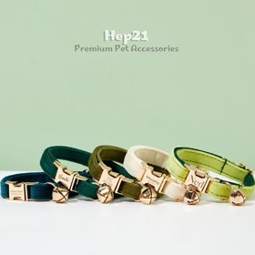Resim Cat Collar Velvet Named Bell Cat Collar 649724 - Tasma + Papyon + Gezdirme İpi / L 