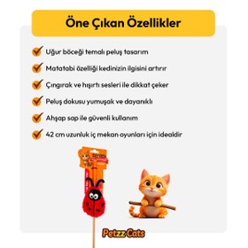 Resim PetzzCats LadyBird Matatabi ve Çıngırak Sesli Kedi Oltası Oyuncağı Kırmızı/Siyah 42 Cm 