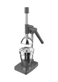 Resim Kale 1702 Standart Ev Tipi Meyve Presi 