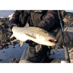 Resim Apia Grandage Northern Lights 106ml 320cm 8-40gr Spin Olta Kamışı 