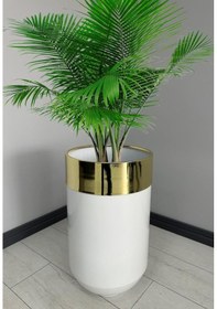 Resim Dekoratif Gold Darbuka Parlak Beyaz Saksı 70cm 